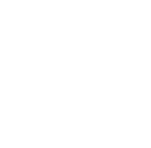 Logo de TNT
